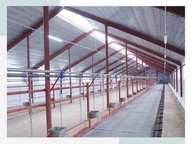 Строительство коровников в Петрозаводске от 609 руб.