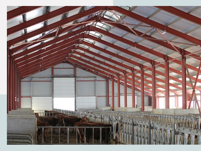 Строительство коровников в Петрозаводске