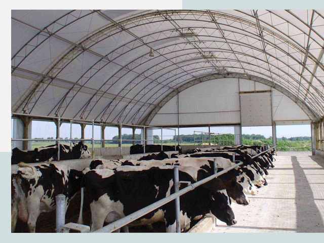 Тентовые коровники в Петрозаводске